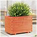 Fioriera Giardino Marrone Cera 70x40x49,5cm Legno Massello Pino - Foto miniatura 1