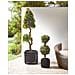 Set Di 2 Vasi Per Piante Brodiea Rattan Sintetico 26/45 Cm Nero - Foto miniatura 9