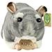Peluche Cincillà 21cm Realista Ultra Morbido In Materiale Riciclato Ecologico, Grigio - Foto miniatura 3