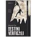 Alessandro Toso - Destini verticali - Foto miniatura 2