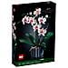 10311 Icons Orchidea - Foto miniatura 1