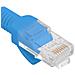 Cavo Di Rete Ethernet Utp Cat. 6 Blu 25cm - Foto miniatura 4