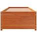 Dormeuse Senza Materasso Marrone Cera 90x200 Cm Legno Di Pino - Foto miniatura 3