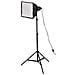 00004084 Nero treppiede - Foto miniatura 3