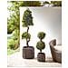 Set Di 2 Vasi Per Piante Brodiea Rattan Sintetico 26/45 Cm Marrone Chiaro - Foto miniatura 9