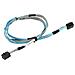CBL-SAST-0531 cavo Serial Attached SCSI (SAS) 0,8 m Nero - Foto miniatura 2