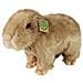 Peluche Capibara 30cm Realista Ultra Morbido In Materiale Riciclato Ecologico, Marrone - Foto miniatura 1