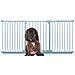 Bettacare Cancelletto Per Cani Elite Con Montaggio A Pressione, 197cm - 206cm, Grigio Opaco - Foto miniatura 1