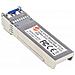 507479, SFP+, Metallico, Metallo, LC, IEEE 802.3ae, IEEE 802.3z, 0 - 70 °C - Foto miniatura 1