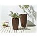 Set Di 2 Vasi Per Piante Cedrus Rattan Sintetico 37/45 Cm Marrone - Foto miniatura 1