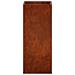 Vaso da giardino Ruggine 20 x 20 x 50 cm Acciaio Corten - Foto miniatura 4