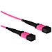 RL7763 cavo InfiniBand e in fibra ottica 3 m MPO /MTP Viola - Foto miniatura 1