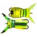 Supernato Beetle Baby 191 Chart Beetle - Foto miniatura 1
