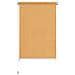 Tenda a Rullo per Esterni 80x140 cm Beige - Foto miniatura 2