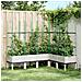 Fioriera Da Giardino Con Graticcio Bianco 160x120x142,5cm In Pp - Foto miniatura 6