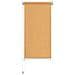 Tenda a Rullo per Esterni 60x230 cm Beige - Foto miniatura 3