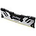SSD Technology FURY 48GB 6000MT /s DDR5 CL32 DIMM Renegade Argento XMP KF560C32RS-48 - Foto miniatura 1