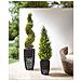 Set Di 2 Vasi Per Piante Chelone Rattan Sintetico 26/34 Cm Nero - Foto miniatura 9