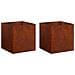 Vaso da giardino 2 pz Ruggine 25 x 25 x 25 cm Acciaio Corten - Foto miniatura 1
