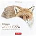 Simona Luci - Riflessi Di Bellezza. Un Cammino Fotografico In Natura Alla Ricerca Di Se Stessi. Ediz. Illustrata - Foto miniatura 1
