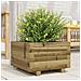 Fioriera Da Giardino 40x40x26,5 Cm In Legno Di Pino Impregnato - Foto miniatura 1
