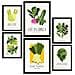 Set Di 6 Stampe Cibo E Nutrizione Verdure Verdi Natura E Stampe Botaniche Per L'interior Design A3 & A4 Senza Cornice - Foto miniatura 1