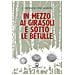 Corrado Palmarin - In Mezzo Ai Girasoli E Sotto Le Betulle - Foto miniatura 1