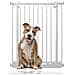 Bettacare Cancelletto Per Cani Elite Extra Alto, 65,5cm - 74,5cm, Bianco Opaco, Extra Alto Con 100cm Di Altezza - Foto miniatura 1
