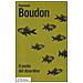 Raymond Boudon - Il posto del disordine. Critica delle teorie del mutamento sociale - Foto miniatura 1