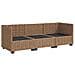 3 pz Set Lounge in Rattan con Cuscini GENDT Rattan naturale - Foto miniatura 7
