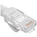Cavo Di Rete Ethernet Utp Cat. 6 Grigio 1,5m - Foto miniatura 5