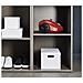 RO3923 Aspirapolvere a Traino con Sacco Potenza 750 Watt Colore Rosso - Foto miniatura 4