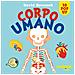David Hawcock - Corpo umano. Sorprendenti pop up. Ediz. a colori - Foto miniatura 1