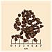 WB764522 cibo secco per cani 2 kg Adulto Cavallo, Patata dolce - Foto miniatura 2