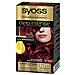 Tintura Permanente Olio Intense Syoss Nº 5,92 Rosso Intenso - Foto miniatura 2