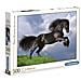 Puzzle 500 Cavallo Nero - Foto miniatura 1