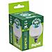 SuperLED Lampadina a risparmio energetico 16 W E27 F - Foto miniatura 4
