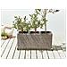 Vaso Per Piante Bellis Rattan Sintetico 82 Cm Marrone Chiaro - Foto miniatura 1