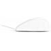 Urban Factory SANEE mouse Medico USB tipo A Ottico 800 DPI - Foto miniatura 4