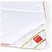 Piumone Premium Autunno-Inverno 150x220 cm 94% Piumino 250 Gr - Foto miniatura 4