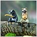 Set Di 5 Decorazioni Per Acquario, Stagione 2 - Foto miniatura 2
