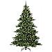 Albero di Natale Artificiale con Rami Pieghevoli Verde 210 cm - Foto miniatura 2