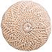 Puf In Cotone Intrecciato Panna 45x45x30h - Foto miniatura 4