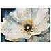 Stampa Su Tela Fiori 73-multicolore-legno-42x3,5x62 Cm - Foto miniatura 2