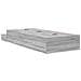 Struttura Letto con Contenitore Grigio Sonoma 90x200 cm - Foto miniatura 9