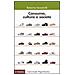 Roberta Sassatelli - Consumo, cultura e società - Foto miniatura 1
