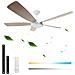 Ventilatore Da Soffitto Luce Dimmerabile 5 Pale Bianco Ø 132cm 67 Watt - Foto miniatura 1