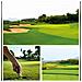 Ripara Divot Pieghevole Per Golf - Forchetta Verde In Alluminio E Acciaio Inossidabile Black - Foto miniatura 3