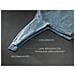 Series 9000 Asciugatrice 9 Kg Classe B TR9HH9BY MADE IN EUROPE - Foto miniatura 38