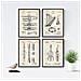 Set Di 4 Stampe Vintage Con Strumenti Musicali Arpa Flauto Violoncello Tromba Musica Arte Per Arredare La Tua Casa O Il Tuo Negozio Senza Cornice A4 - Foto miniatura 1